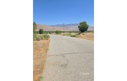 426-390-24 Flycatcher, Weldon, CA 93283