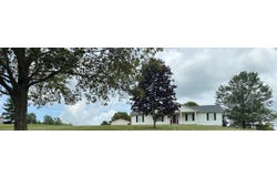 1003 Old Lair Road, Cynthiana, KY 41031