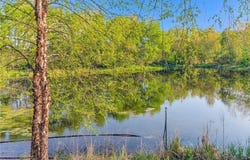 8691 Edison Street NE, Blaine, MN 55449