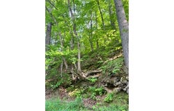 28xxx 89th Avenue, Boyd, WI 54726