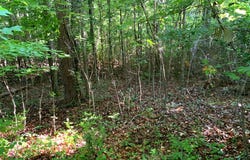 Lake City Highway, Clinton, TN 37716