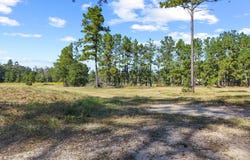 1615 Bob Williams road, Thicket, TX 77374
