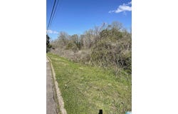 FRANKLIN ROAD lot: 1, ROANOKE, AL 36274