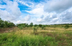 1895 County Road 472, Rochelle, TX 76825