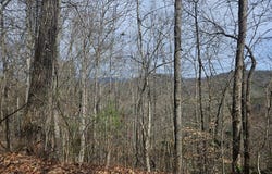 197 Plainview Ridge, Sylva, NC 28779
