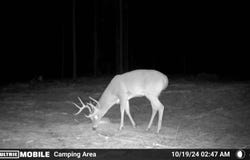 19.43 Big Rocks Rd, Antlers, OK 74523