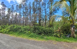 ROAD F (ALE), Mountain View, HI 96760