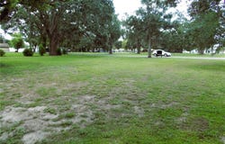 310 OAK AVENUE, BRANDON, FL 33510