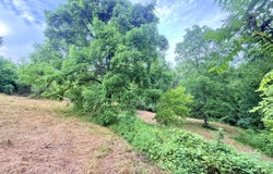 1197 State Hwy 1036, Zachariah, KY 41301