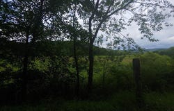 BEAR HILL ROAD, OLDTOWN, MD 21555
