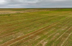 00000 S Rodeo Rd, Scott City, KS 67871