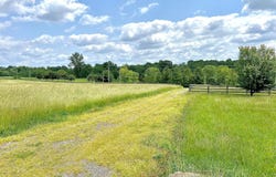 6300 County Road 100, Mount Gilead, OH 43338
