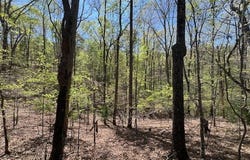 Lt1014 Gibe Court, Ellijay, GA 30540