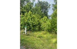 874 Flatwoods Road, Monticello, FL 32344
