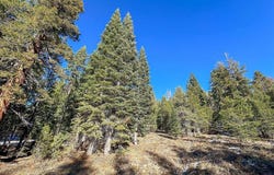 5n01 Eagle Meadow rd, Strawberry, CA 95375