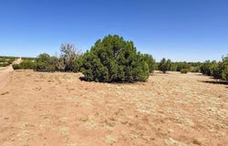9182 Texas Lane, Show Low, AZ 85901