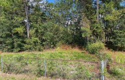 FL SR 20 Highway, Interlachen, FL 32148