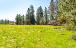 TBD Fiske Road Converse Road, Greeley Hill, CA 95311