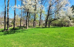 4 Benjamin Hill Road, Newfield, NY 14867