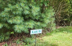 Barebridge Drive unit: 9, Burnsville, NC 28714