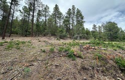 Block 1 Lot 19 Brazos Estates, Chama, NM 87520