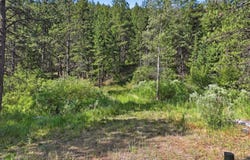 Spiritwood Ln, Bellvue, CO 80512