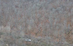 175A Improvement Branch, Jackson, KY 41339