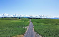 Tbd Basket Rd, Nezperce, ID 83543