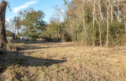 285 Lavan Lane lot: 5, Elton, LA 70532
