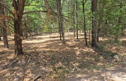 1 VZ County Road 4700, Ben Wheeler, TX 75754
