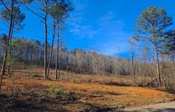PAUL BOLTON Rd, Parrish, AL 35580