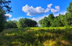 000 Old Gordon Road, Grandview, TN 37337