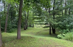 Lot 1 Block 1 Lofty Pines Road, Pine City, MN 55063