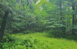 0 ST. JOHNS LANE, Crandon, WI 54520