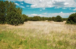 40 Rohrer Place, Tijeras, NM 87059