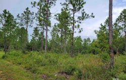 39449 S STATE HIGHWAY 59, Bay Minette, AL 36507