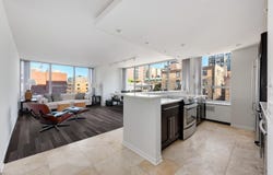 70 W Burton Place, Chicago, IL 60610