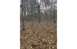 Forest Road 3169, Winona, MO 65588