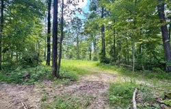 8 E East State Road 56, Paoli, IN 47454