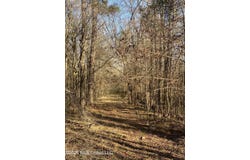 County Road 48, Gloster, MS 39638