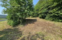 Tbd Poor Valley Road, Rogersville, TN 37857
