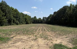 Sam Powell Dairy Road, Roanoke Rapids, NC 27870