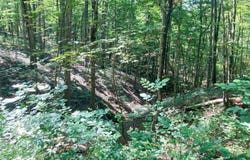 Setty Rd, Albany, OH 45710
