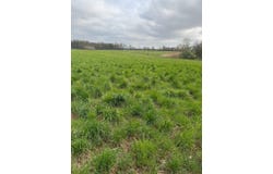 1555 County Road 1050N, Fairfield, IL 62837