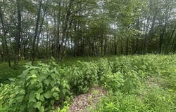 153 Windflower Drive lot: 153 Bern Section, Terra Alta, WV 26764