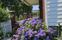 612 Wyoming Avenue, West Pittston, PA 18643