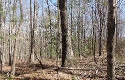 391 Ridge Road, Lancing, TN 37770