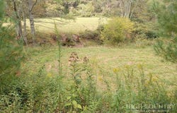 Big Peak Creek Road, Laurel Springs, NC 28644