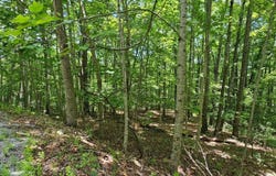 Oak Leaf Lane lot: 555, Dunlap, TN 37327