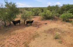 1850 N County Road, Eldorado, OK 73537
